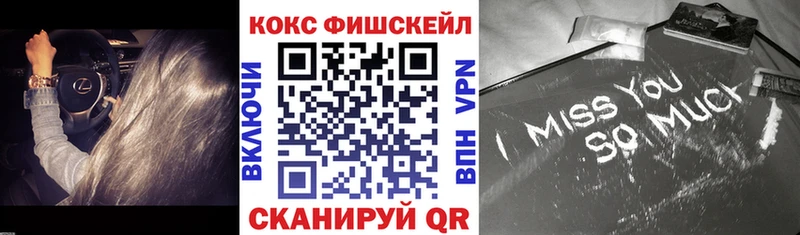 COCAIN Fish Scale  МЕГА маркетплейс  Заринск 