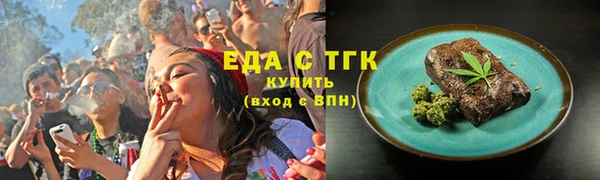 гашик Ельня