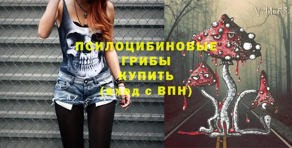 PSILOCYBIN Вязники