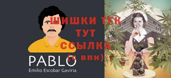 прущая мука Вяземский