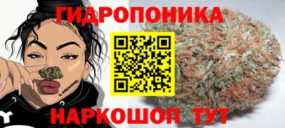 бошки Донецк