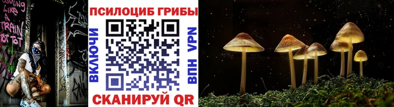 купить наркоту  Заринск  ОМГ ОМГ ссылка  Галлюциногенные грибы Psilocybine cubensis 
