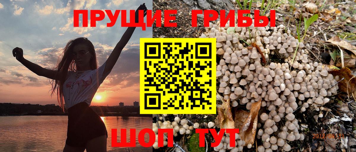 Заринск  Псилоцибиновые грибы мицелий  Вход с VPN  Галлюциногенные грибы мухоморы 